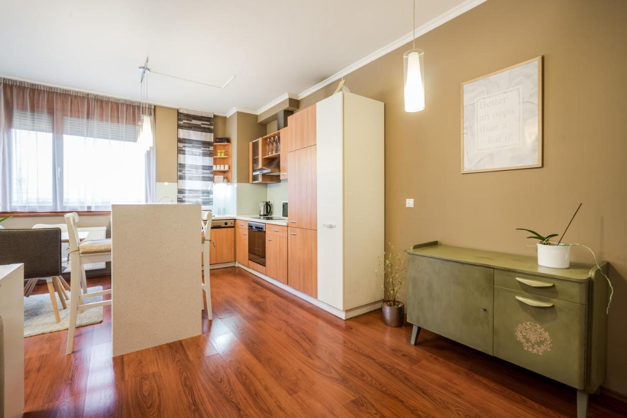 Apartmán Downtown Karpat 9 *